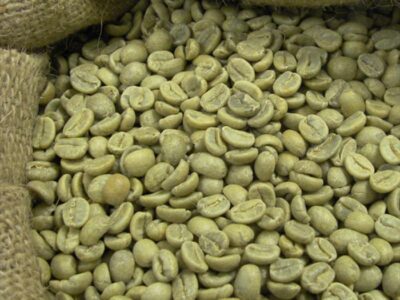 Robusta Coffee Beans